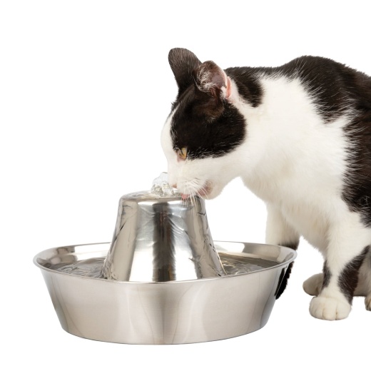Petsafe Seaside Stainless Pet Fountain