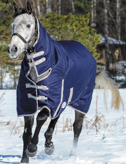 Weatherbeeta Comfitec Essential Combo Neck Heavy Weight Horse Blanket