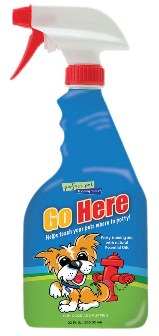 Go Here! 22 Oz Potty Training Aid by Davis