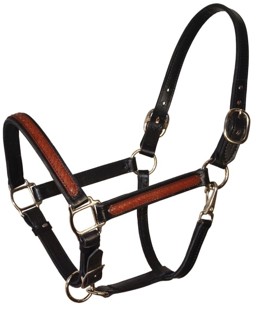 Perri's Leather Overlay Halter - Black/Brown