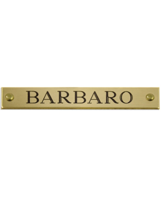 Beveled Brass Halter Plates for Cats