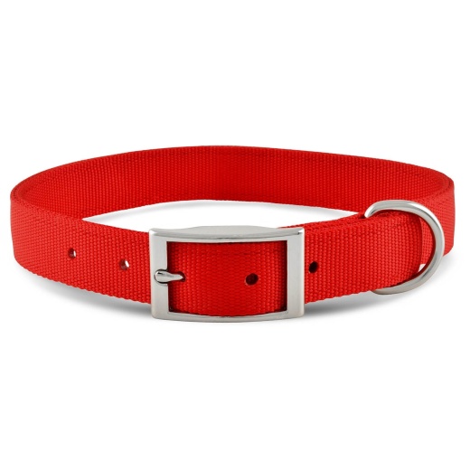 Jeffers 1" Wide Dog Collar, 16"L - High-Quality Nylon Collars for Dogs