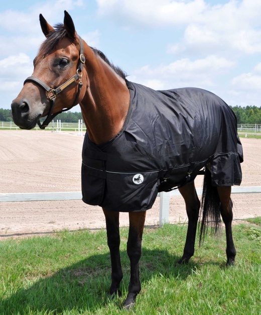 Jeffers Supreme Plus Heavy Weight Turnout Blanket in Blk/Blk