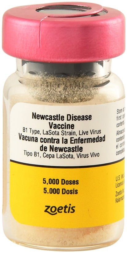 Newcastle Disease Vaccine, 5000 Dose - Zoetis
