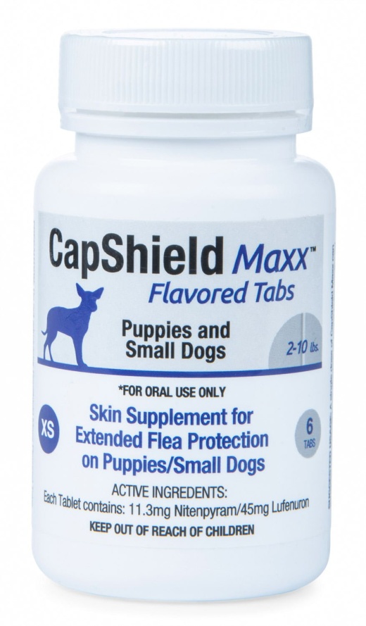 Capshield Maxx Flavored Tabs For Dogs 2-10 Lbs / Single Pack