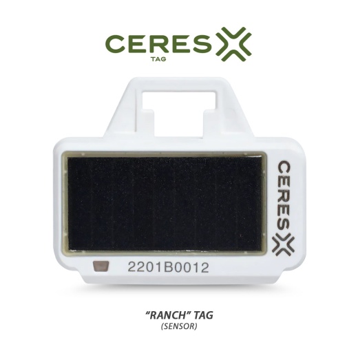 Ceres Ranch Pfi Identification Tags - 10 Pack