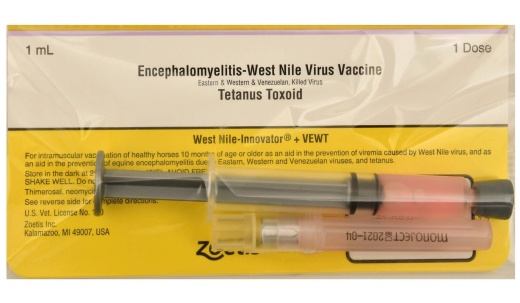 West Nile Innovator + Vewt - Horse Vaccine for Prevention and Protection