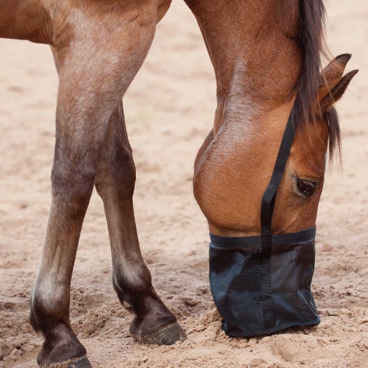 Feed Rite Horse Feed Bag - Efficient and Mess-Free Feeding Solution