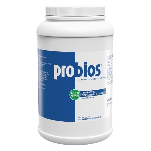 Probios Dispersible Powder Veterinary Probiotic Supplement 5 Lbs