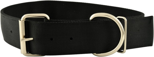 Jeffers 2" Big Dog Collars, 15"-20" - Ultimate Comfort & Security for Large Breed Dogs