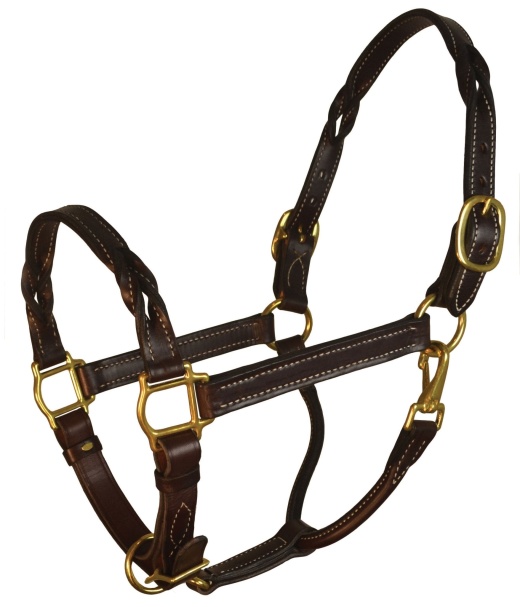 Perri's Twisted Leather Halter