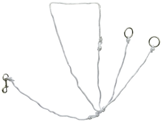 String Martingale Training Fork