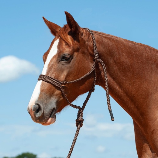 Braided Mule Tape Halter W/ 9' Lead by Cashel
