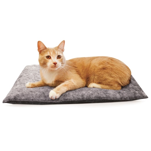 Amazin' Kitty Pad, 3 Pk