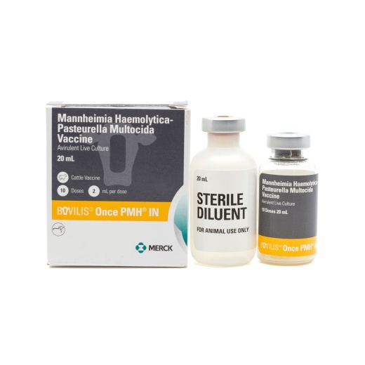 Bovilis Once PMH IN Cattle Vaccine for Beef and Dairy Cattle