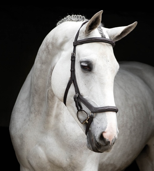 Rambo Micklem Deluxe Competition Bridle, Dark Havana - Full