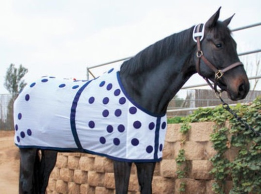 Professional Choice Magnetic Horse Sheet