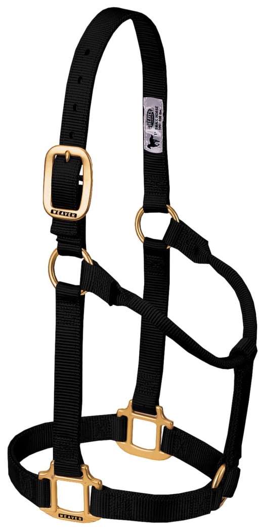 Weaver Original Nylon Horse Halter