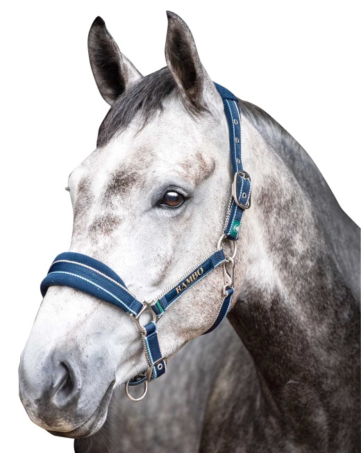 Rambo Padded Halter, Witney Navy - Cob