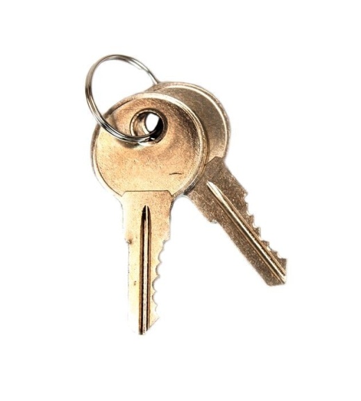 Paddle Handle Replacement Keys for Safety Cabinets - Sure-Grip Ex, Set of 2, Lock No. CH545