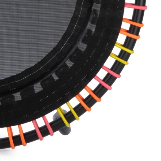 Endurolast Cords (Set of 36) | Multi-Color | 39" or 44"