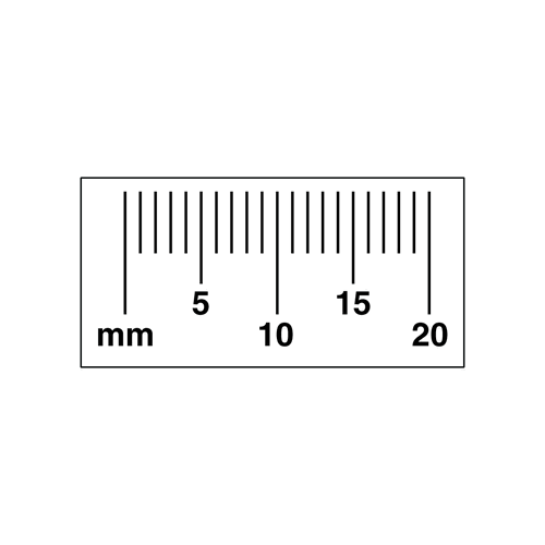20Mm Scale