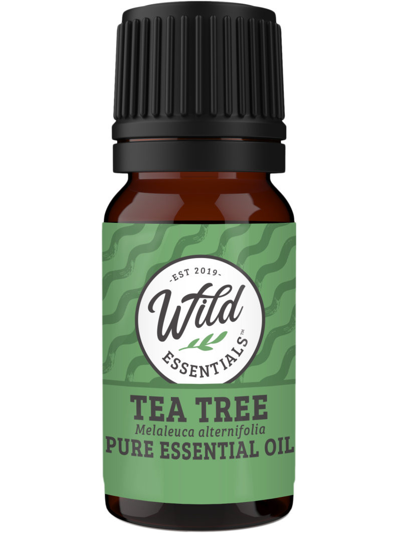 Essential Oil - Tea Tree - 10 Ml Bottle