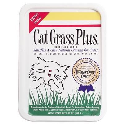 Gimborn Redi Cat Grass Plus - The Ultimate Cat Treat for a Healthy and Happy Feline Companion