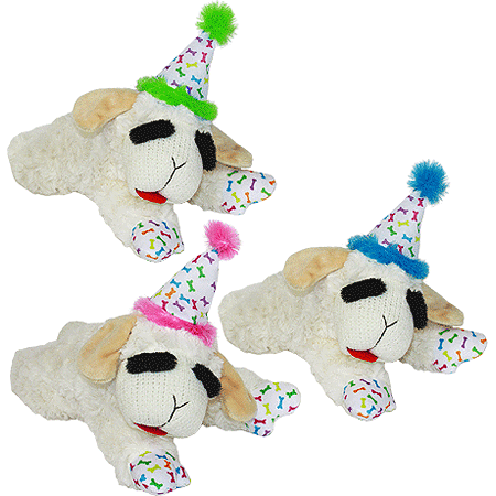 Multipet Lamb Chop With Birthday Hat 10.5In