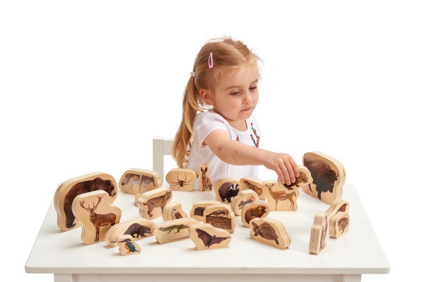 Wooden Forest Animal Blocks - Set Of 30
