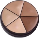 Derma-Pro Quick Fix Palette