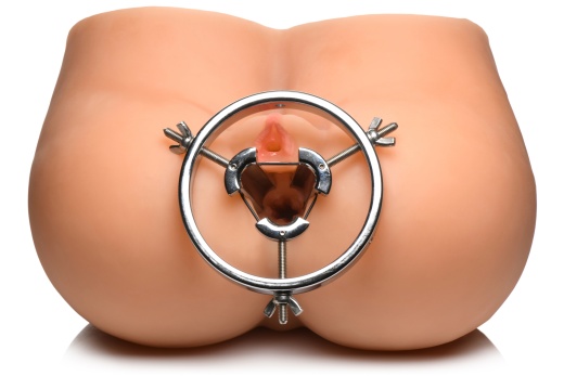 Master Series Forced Spread Stainless Steel Anal Explorer