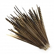 Pheasant Tails - Natural 14-18"