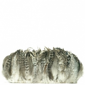 Strung Rooster Grey Chinchilla Schlappen Feathers - #2920