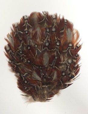 Natural Brown, Gray, & Red Pheasant Feather Pad