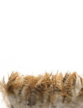 Strung Rooster Red Chinchilla Schlappen Feathers - 2922