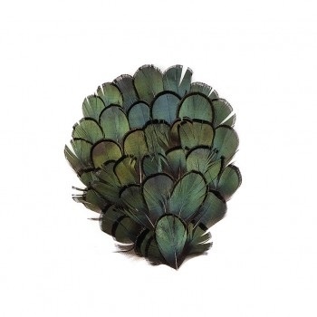Natural Irridescent Bronze Lady Amherst Pheasant Feather Pad