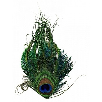 Natural Peacock Sword With Eye Hackle Pad