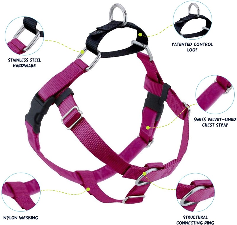Freedom NoPull Harness Only, Large Raspberry