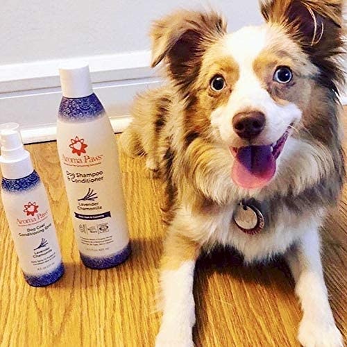 Aroma Paws 12 Oz. Luxury Dog Shampoo & Conditioner In One Lavender Chamomile AntiItch & Hot