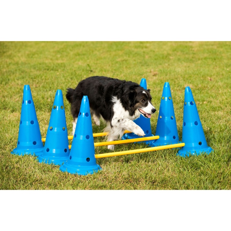 Midlee Dog Cone & Pole Agility Set Adjustable Big To Small Dogs Set Of 3
