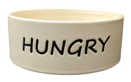 Spot Hungry Dog Dish 7" - Ds