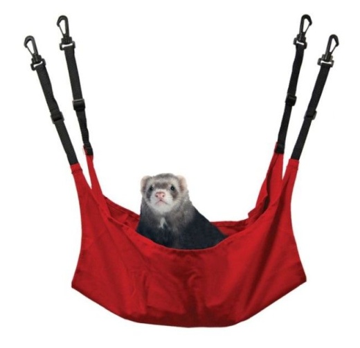 Marshall Ferret Leisure Lounge in Assorted Colors