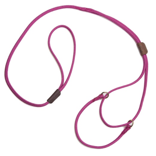 Mendota Show Martingale Leash - Kelly Green / 12 Inch