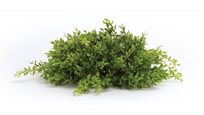 Mini Leaf Half Orb (Set of 6) 14”D Plastic