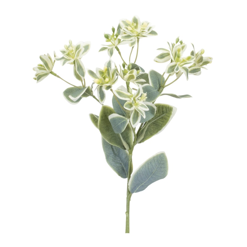 Euphorbia Spray (Set Of 6) 18.5”H Polyester