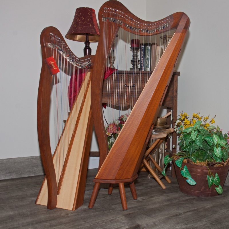 Roosebeck Minstrel Harp 29-String, Chelby Levers Sheesham 5 Panel With ...