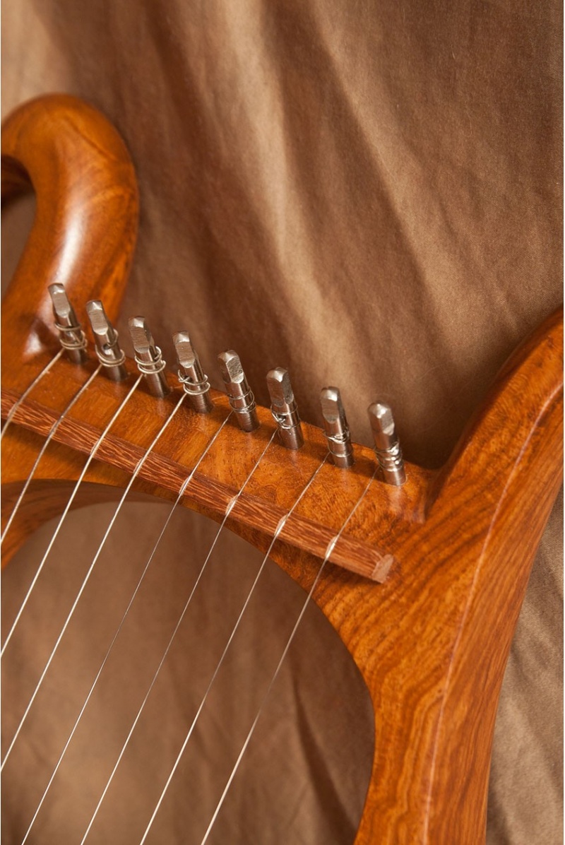 Mid-East Lyre Harp 8-String