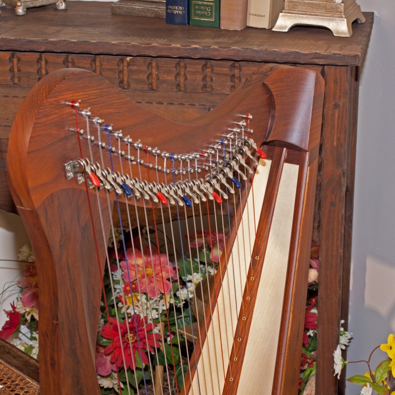 Roosebeck Heather Harp 22-String, Sheesham 5-Panel, Chelby Levers