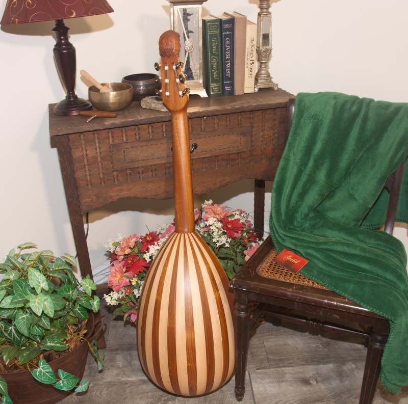 Roosebeck LuteGuitar, 6 String, Variegated, Gears